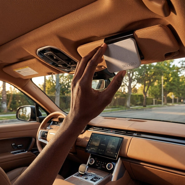 How Scent Affects Your Mood and Focus While Driving