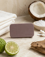 Scentie Stone Freshener