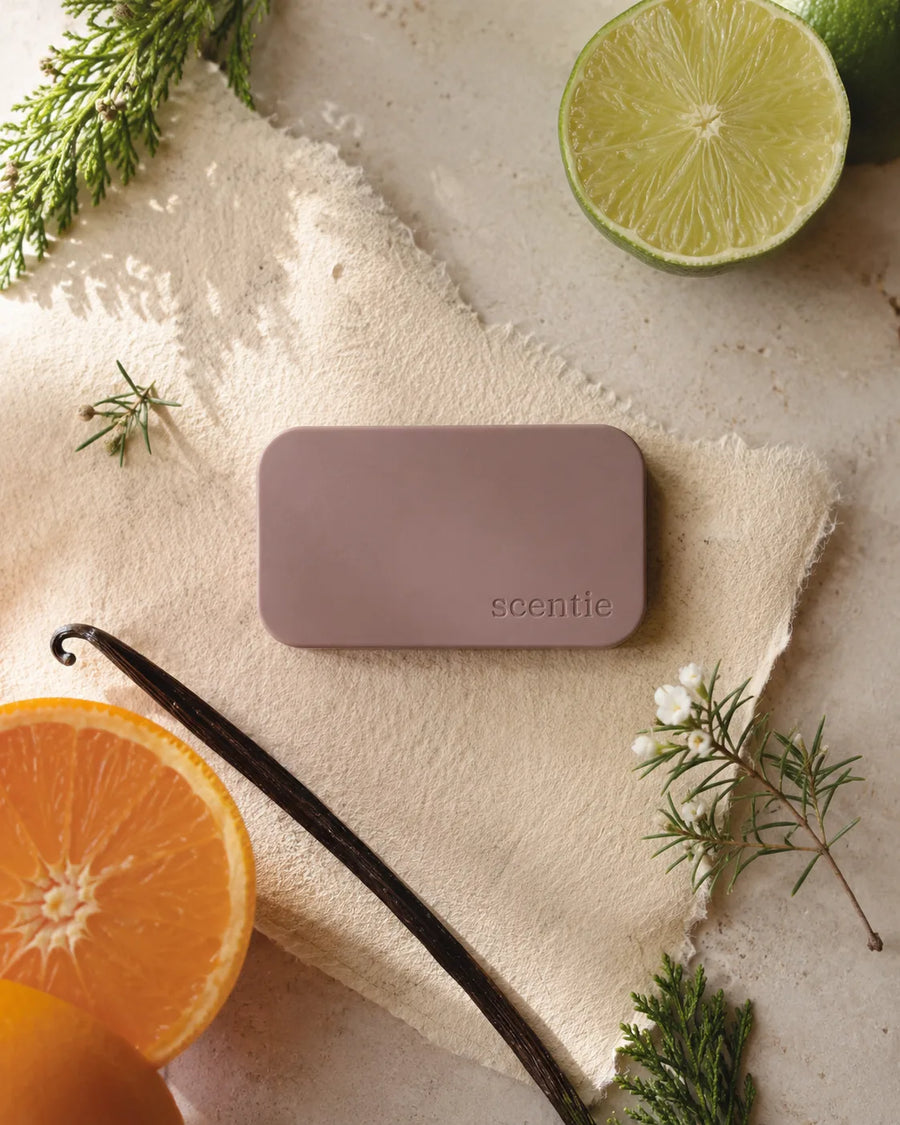 Scentie Stone Freshener