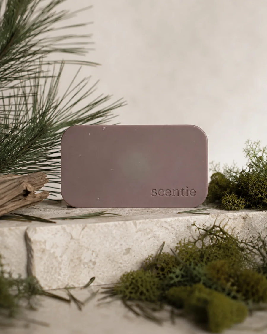 Scentie Stone Freshener