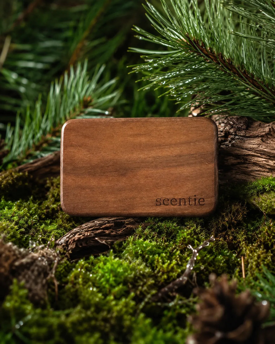 Scentie Wood Freshener
