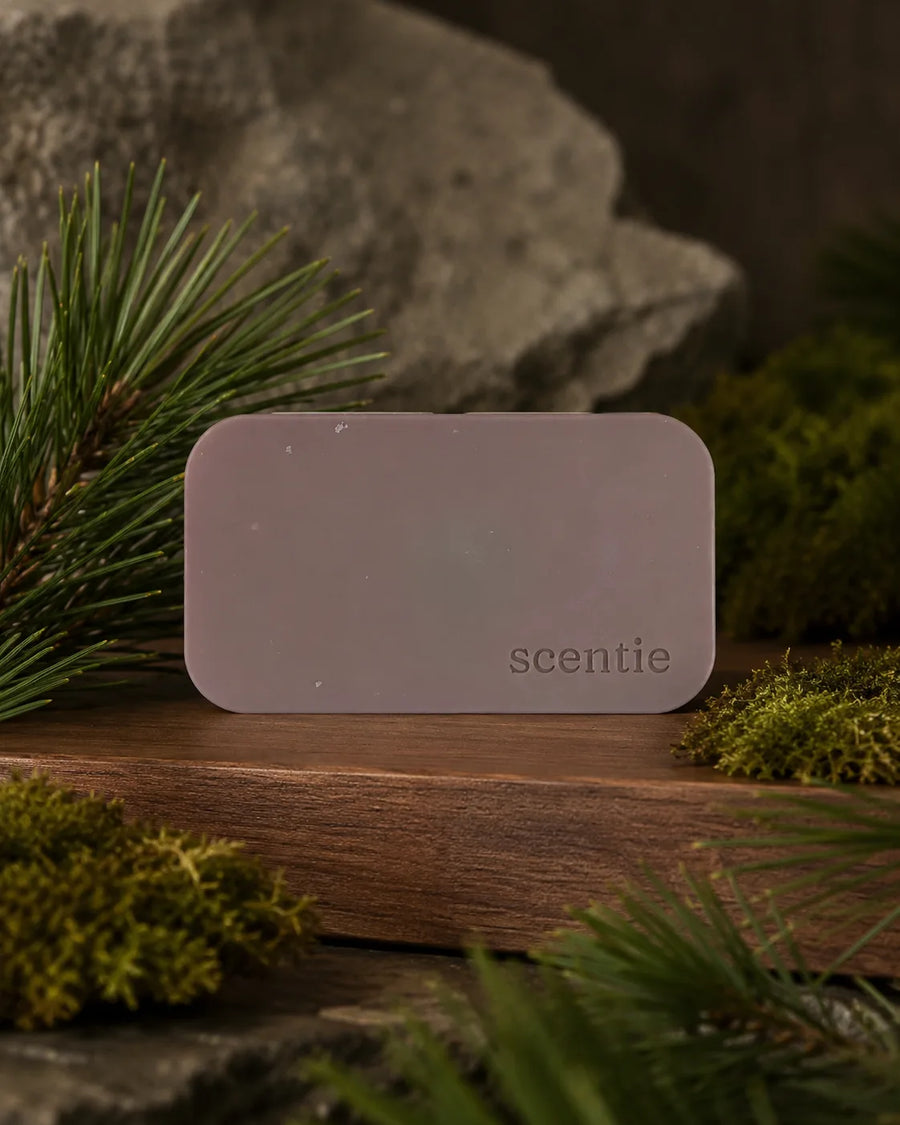 Scentie Stone Freshener