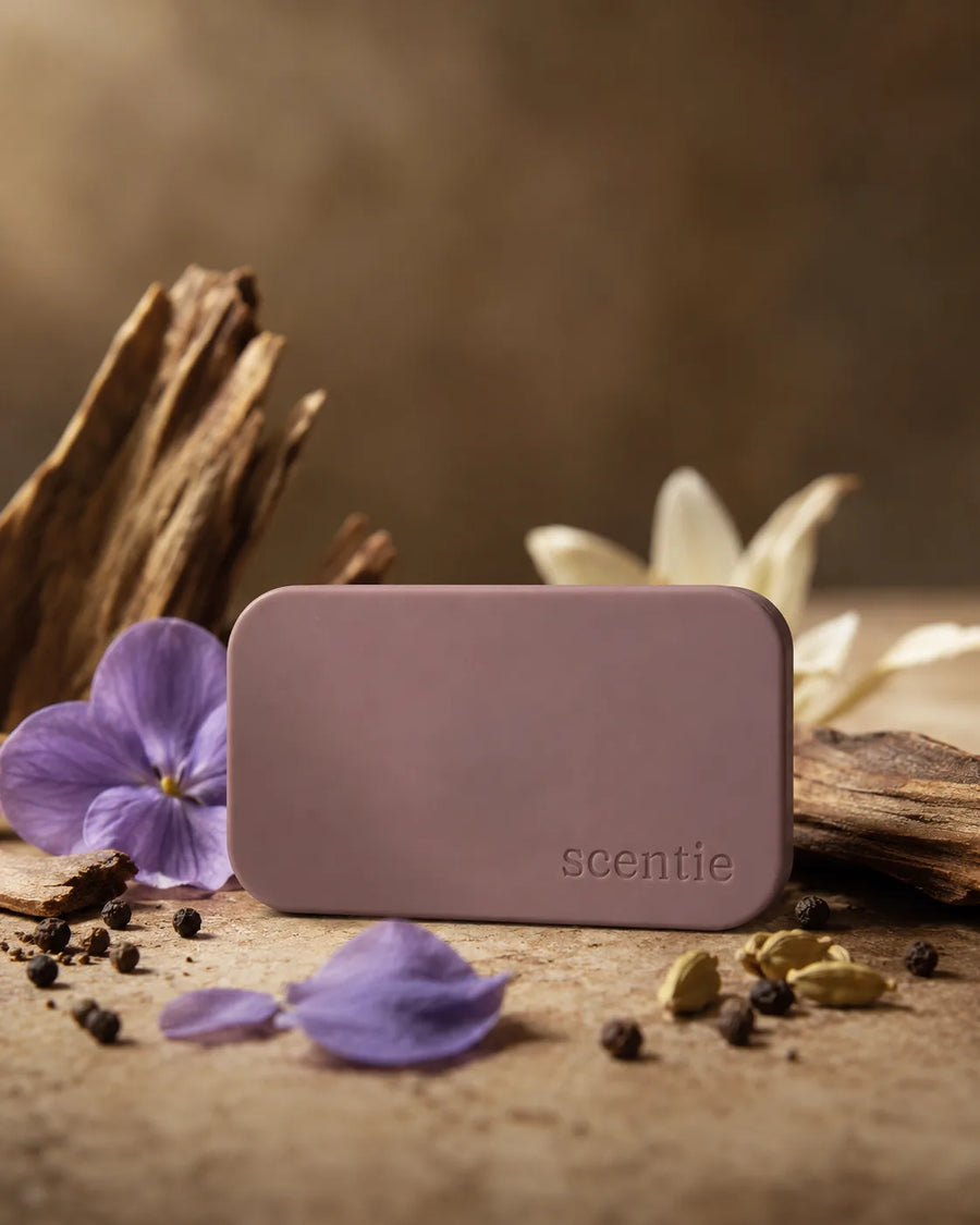 Scentie Stone Freshener